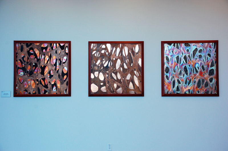 Bioscaffold Triptych